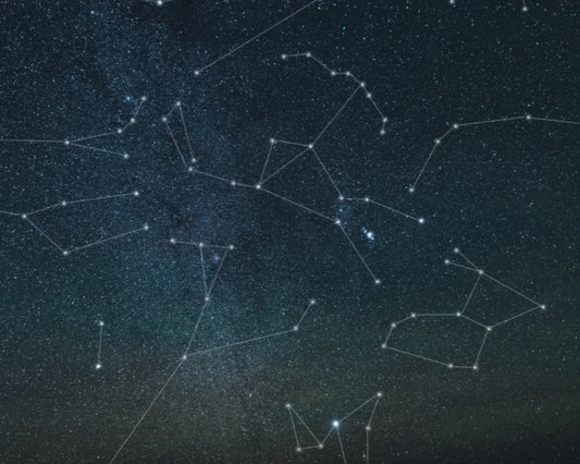 Astrology and Pets: Signs, Traits, and Soul Ties