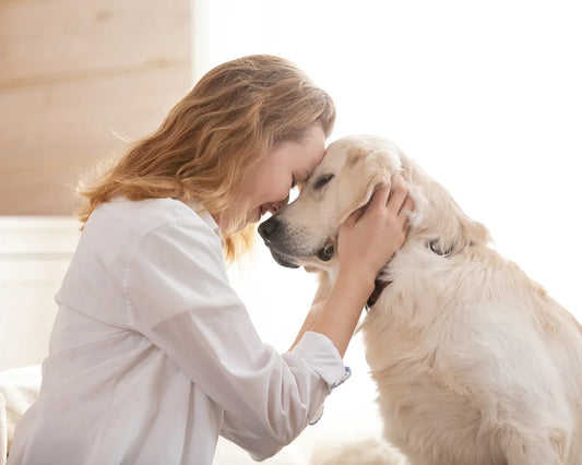 End‑of‑Life Planning for Pets: A Kindness Checklist