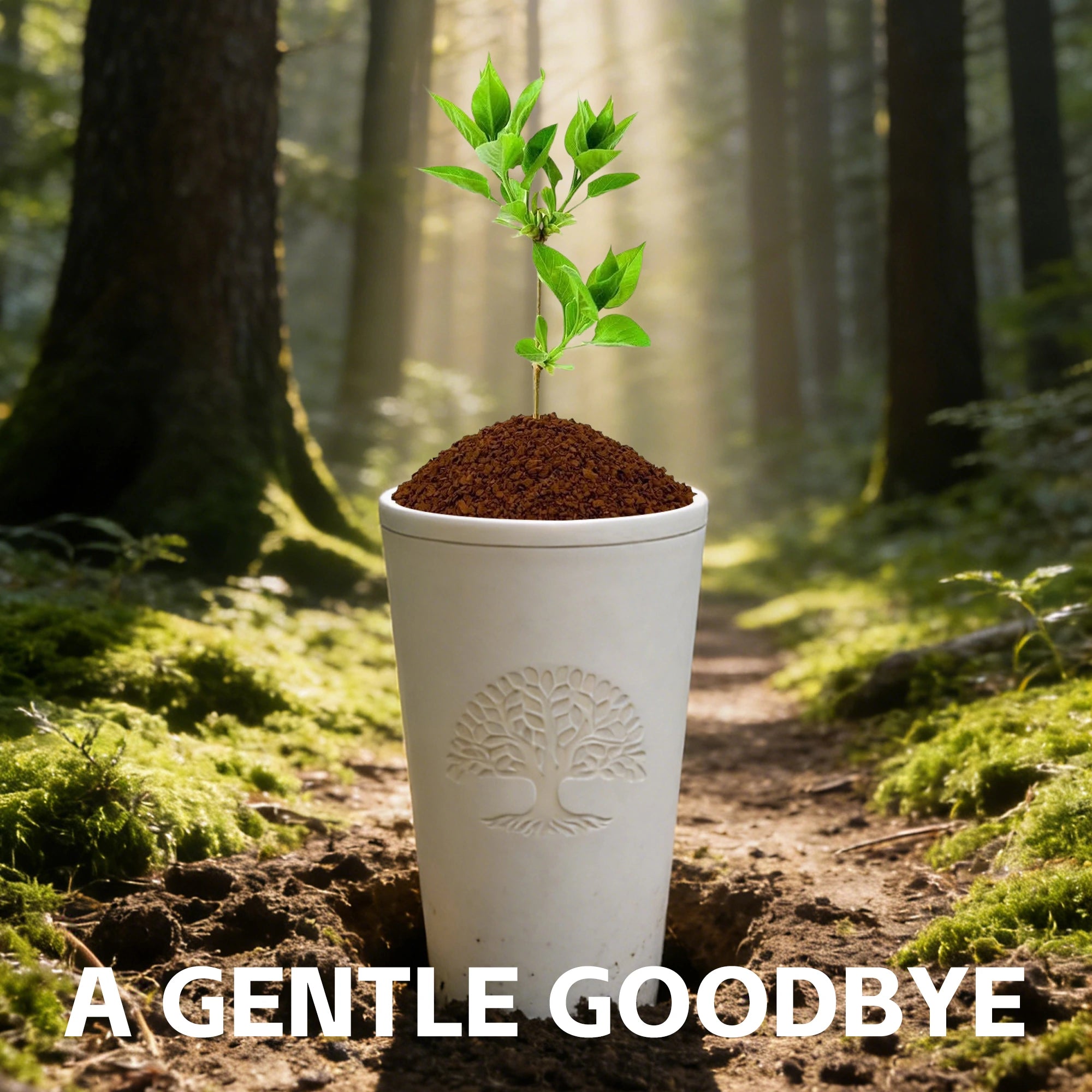 Biodegradable Urn for Ashes Dual-Chamber Planting & Tree pods Burial Urn,Sugarcane Fiber Memorial Urn,Earth Friendly Eco Urn for Human Ashes & Pet Ashes Living urn,210Cu in