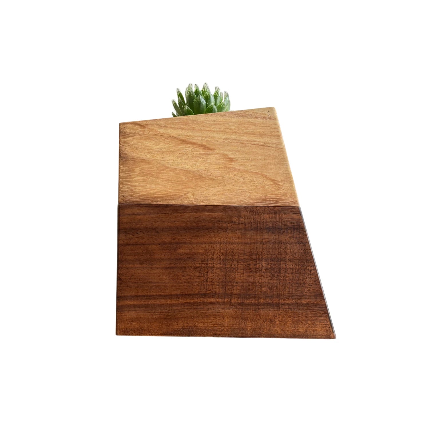 Black walnut vase pet urn actual white background picture display