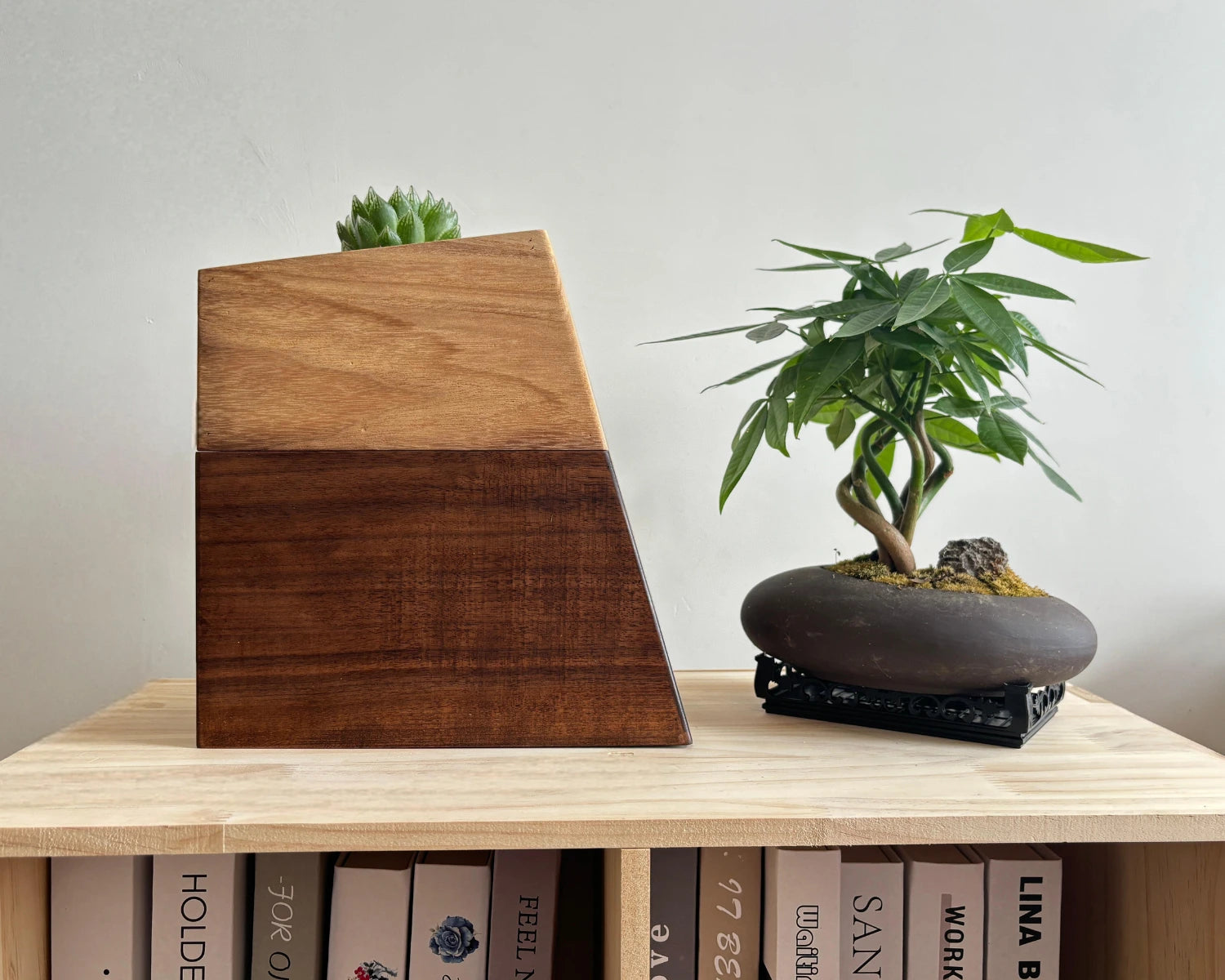 Real picture comparing the size of black walnut vase pet urn placed on bookcase