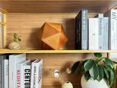 Lyra Pet Urn, sapele icosahedron on a shelf with plant, lifestyle scene.