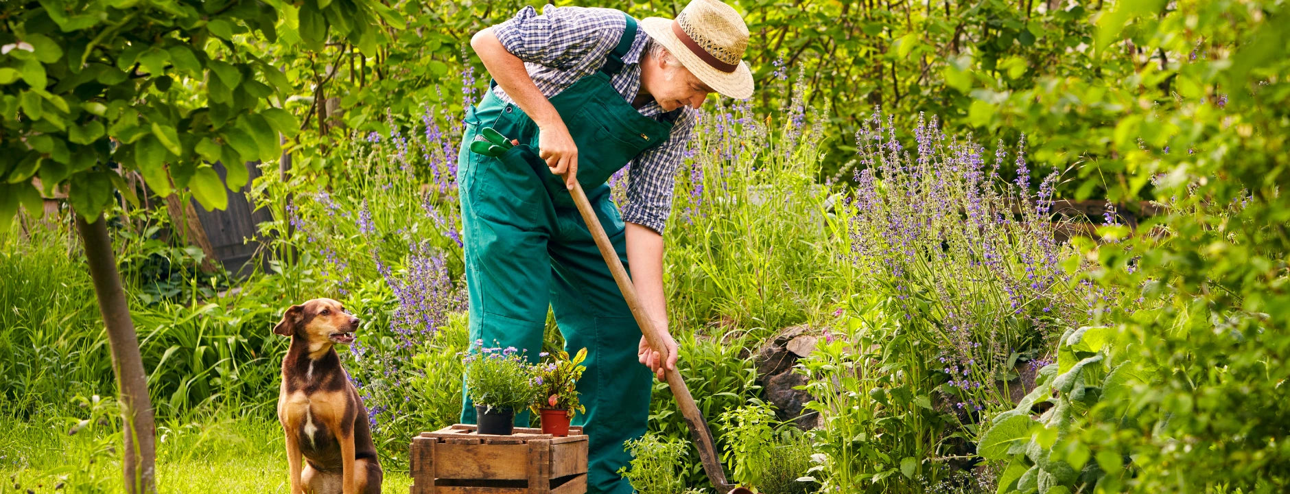 Wide Return Policy banner of a man gardening with his dog in a lush backyard.