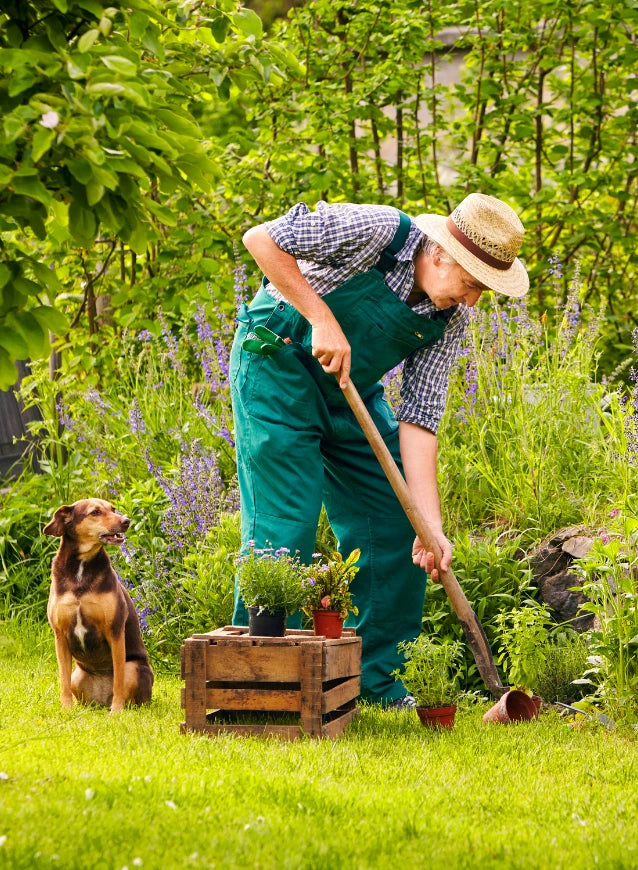 Return Policy banner: man tending a garden with a dog beside him on a green lawn.